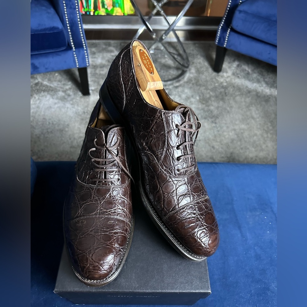 Original derby crocodile immaculate limited edition